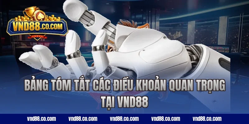 Bảng tóm tắt các điều khoản quan trọng tại VND88